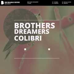 Brothers Dreamers - Colibri