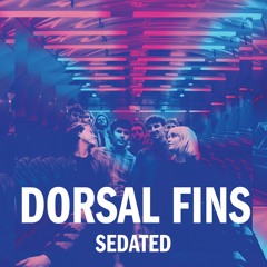 Dorsal Fins - Sedated