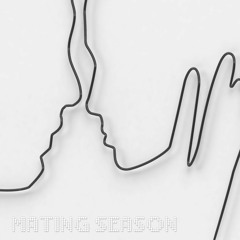 Ample Mammal - Wildebeest Tactics for the 21st Century (Original Mix)