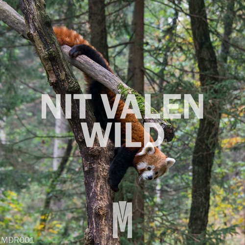 Nit Valen - Wild (Original Mix)[FREE DOWNLOAD]