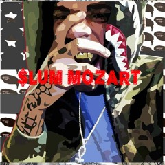 BENJI FINE$$ X $LUM MOZART