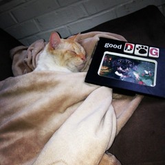 Let My Love Open The Door