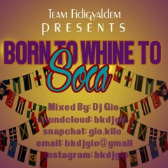 BORN TO WHINE TO SOCA