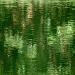 Water Reflections