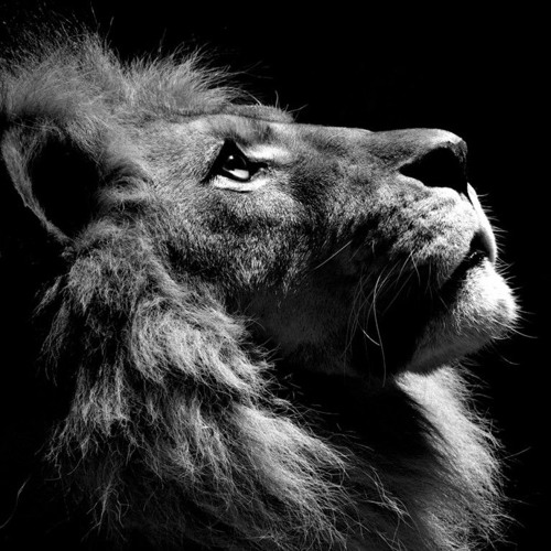 Ferart - All Lost (Deep Set)