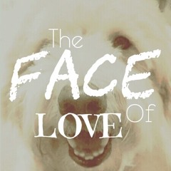 Face Of Love (Chamber)
