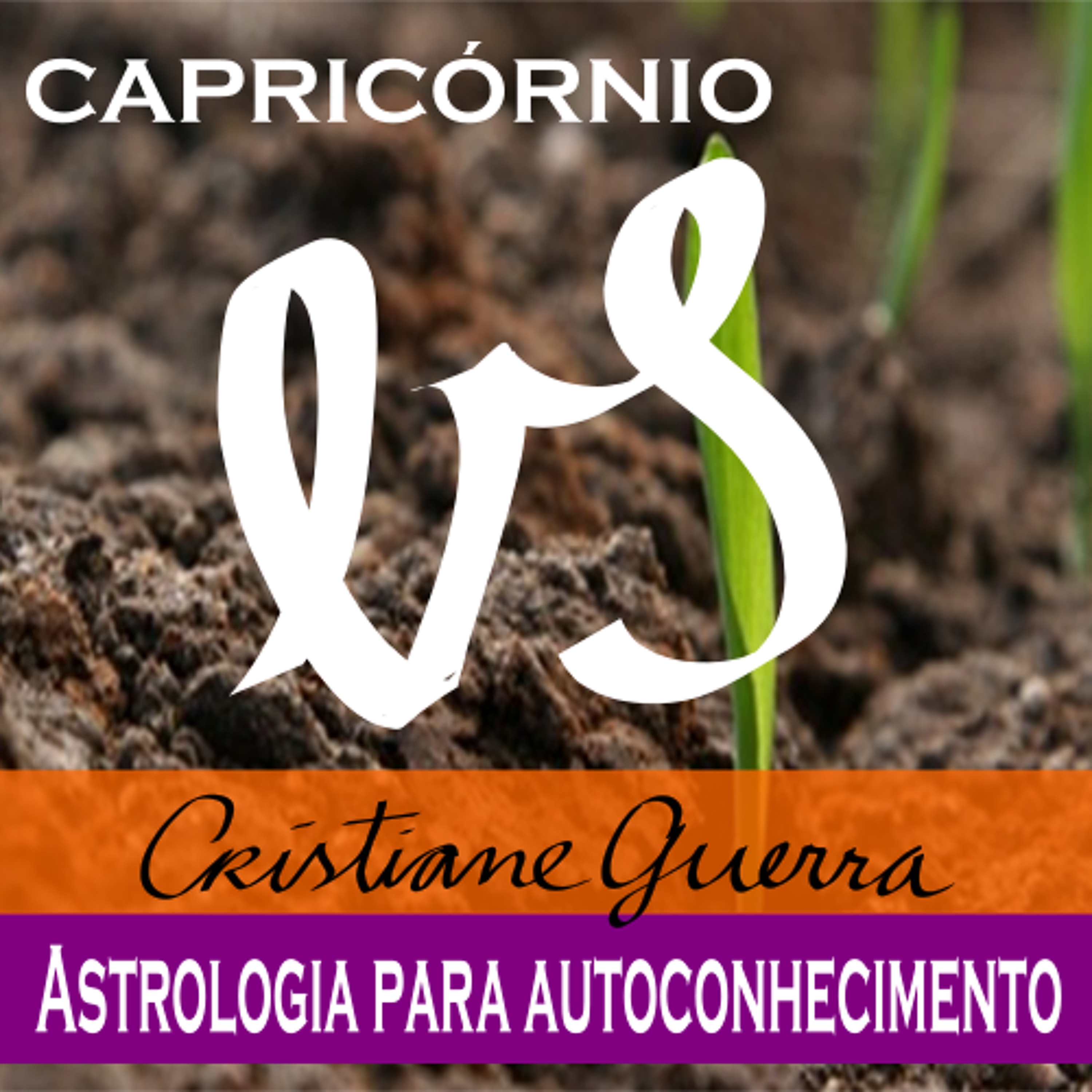 Capricórnio-horóscopo 25 a 31/7/16 #Cristiane Guerra 115