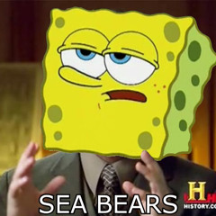 Sea Bears *FOR SALE*
