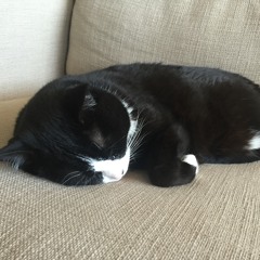 you would have a queen