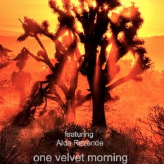 one velvet morning (ft, Alda Rezende)