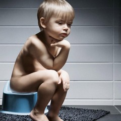 野玫瑰(The Wild Rose)