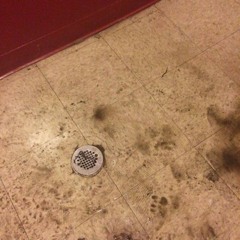 Characteristic Frequency