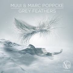 Premiere: MUUI & Marc Poppcke - Grey Feathers [Crossfrontier Audio]