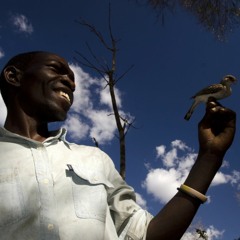 The Honey-Hunter & Honeyguide