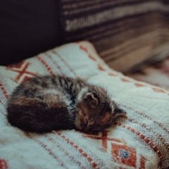 Bob Marley & Hamilton Bohannon - Think Of Me (mash Up)