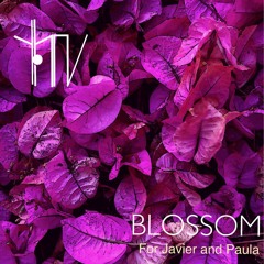 Blossom