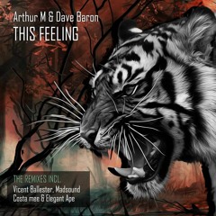 Arthur M & Dave Baron - This Feeling (Madsound Remix)