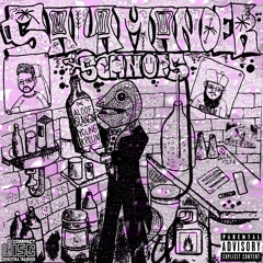 13. Z - Ro (prod. Asadjohn)