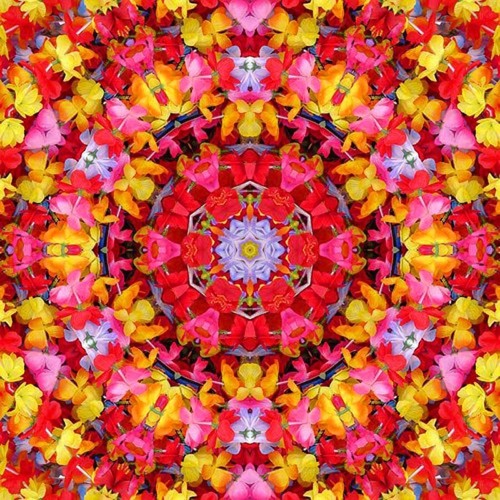 Twin Flame Abundance Light Language Upgrades