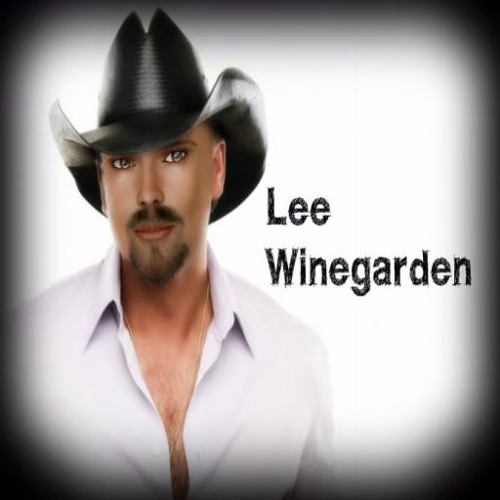 Stream Tim McGraw/Diamond Rings And Old Bar Stools by Lee Winegarden |  Listen online for free on SoundCloud