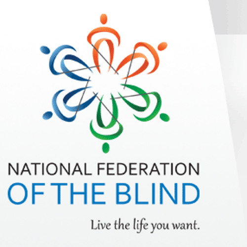 NFB's Sandy Streeter Speaks about the Blind Community