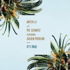 Mitch LJ & Pic Schmitz Feat Julien Pierson - IT'S TRUE