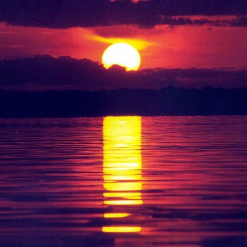 Woo2tech Caio Monteiro - Thinking About It