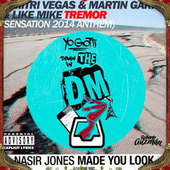 Made You Look A Tremor In The DM (DM & LM Tomorrowland Mashup)