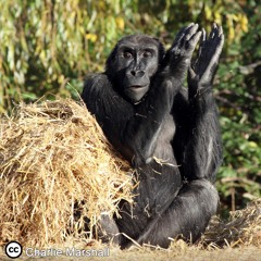 Can Music Make You Hungry?