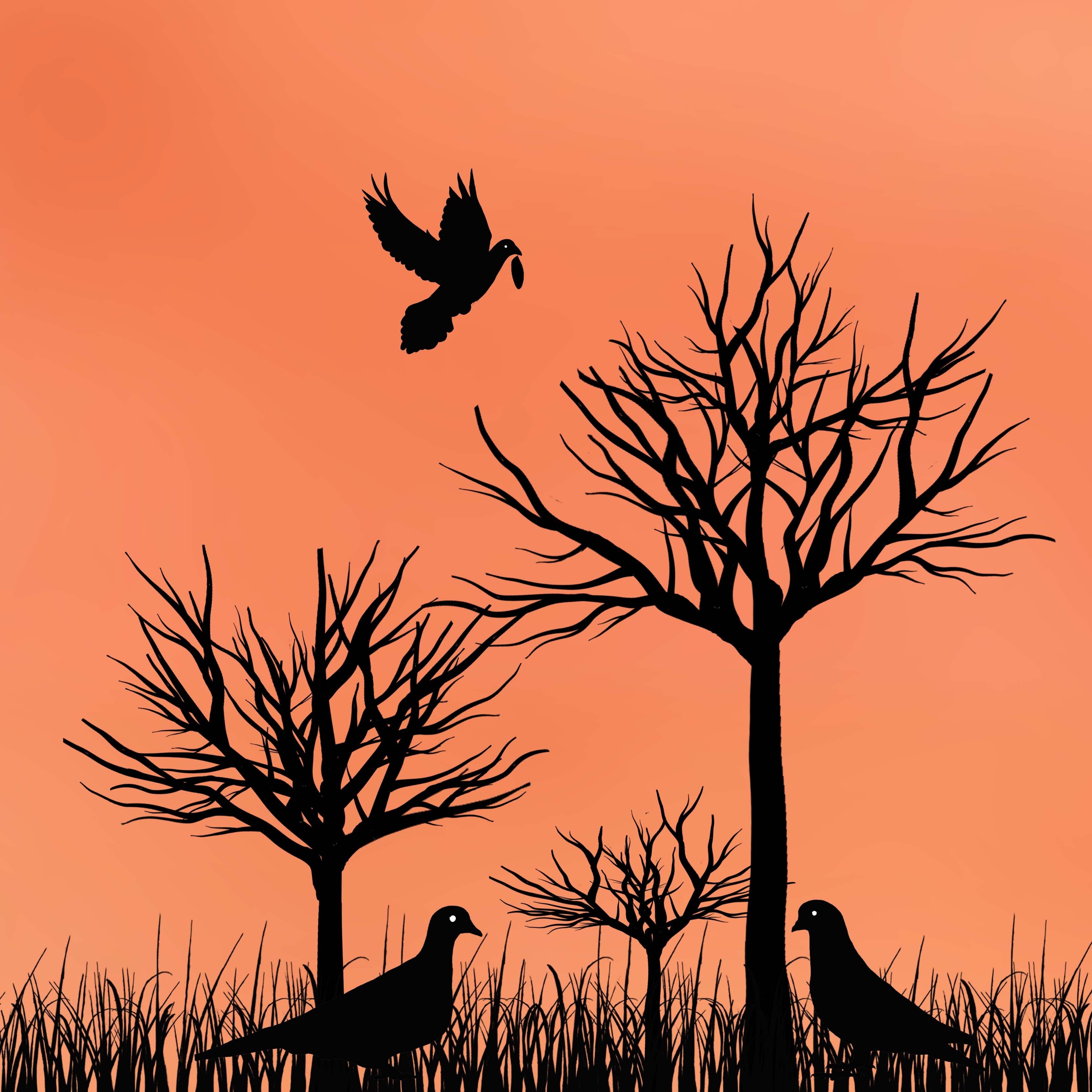 P C III - The Birds Of Pommer (Instrumental) episode artwork