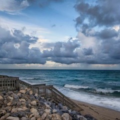 The Bringer of Rain (from Welcome 2 the Flytrap)