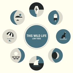 This Wild Life - Break Down