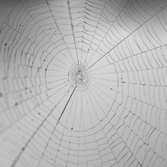 Geestelike Versteuring