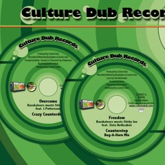 Basskateers meets Sticky Joe, Sista Bethsabée, Becky & J.Pattersson - 10" Culture Dub Records CDR007