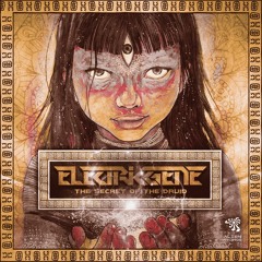 Electric Gene - The Secret of Druid (Original Mix)Alien Records