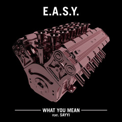 E.A.S.Y. - What You Mean ft. Sayyi