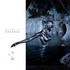 Freeroam x ZCR - Stannic