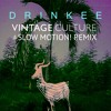 Drinkee Vintage Culture And Slow Motion Remix Mp3