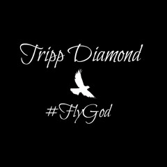 Tripp Diamond-Dear Summer Freestyle