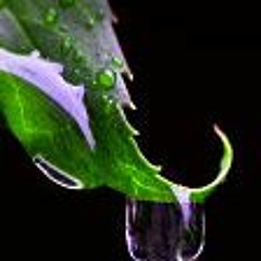 William Orbit - Water From A Vine Leaf (Jay Storic & Kev Wright Remix) *Free Download