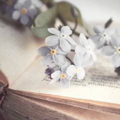 Don't Forget (Prod. ThatKidGoran)