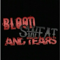 Blood Sweat & Tears *2016*