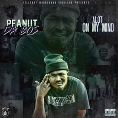 Alot On My Mind - PeanutDaBOS
