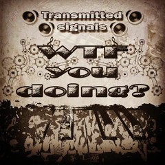 transmitted signals - WTF you doing? ( original mix ) preview