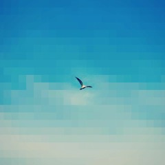 flight