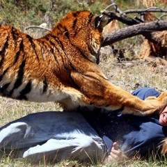 DEAMONDS - DONT STOP (PREVIEW)