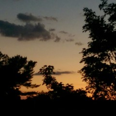 She Moves (Alle Farben cover)