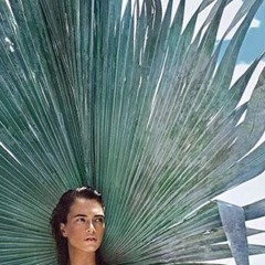 Robotic Enforced Return to Eden