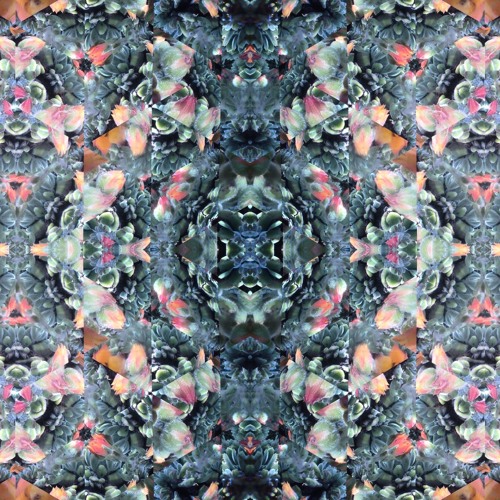 Tree Sap - Summer Mix Vol. 1
