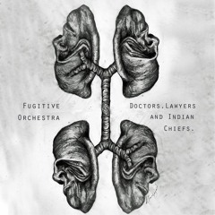 Doctors, Lawyers & Indian Chiefs